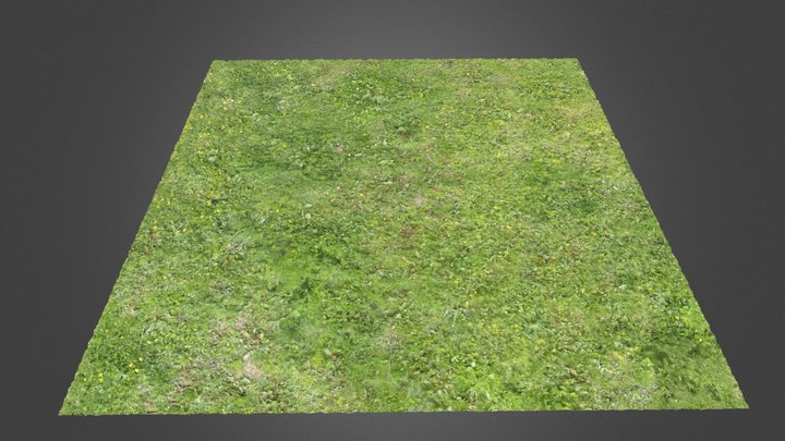 Grass Ground VII 3D Model