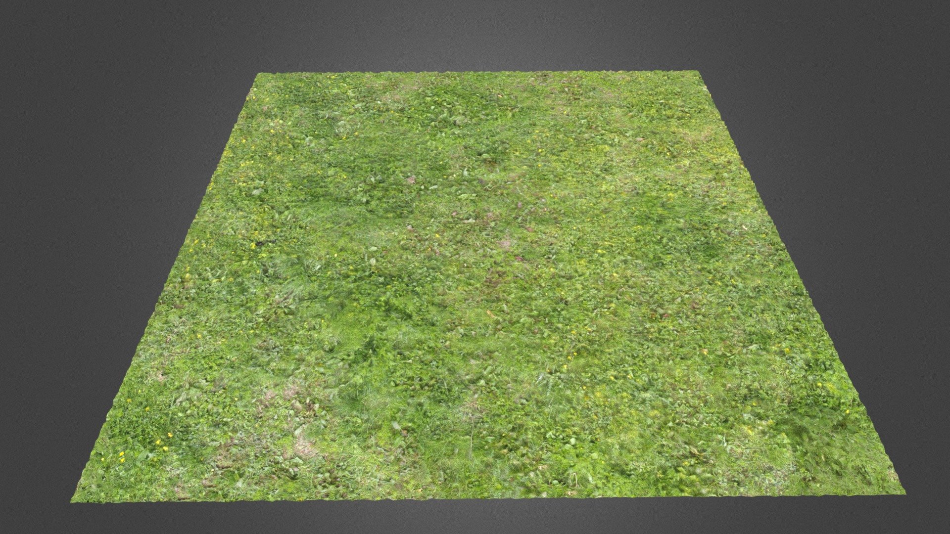 Grass Ground VII - 3D model by ProjectNature [7b91d70] - Sketchfab