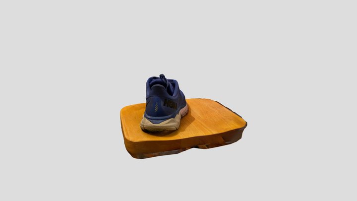 Trainer Sneaker 3D Model