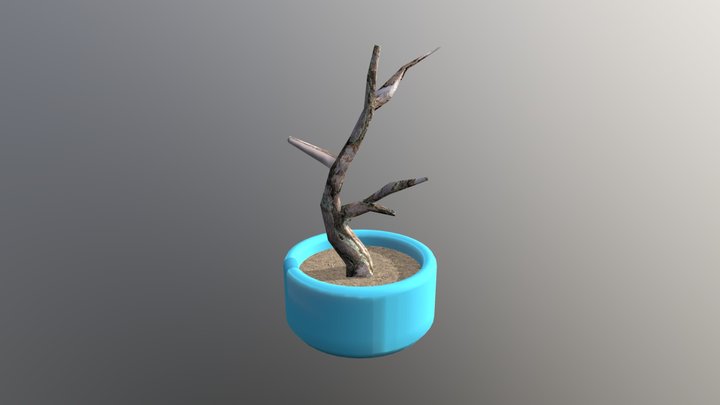 Tree 3D Model