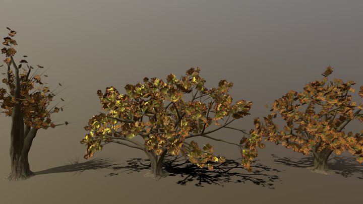 Oak Tree Variants – Modello 3D gratuito STL