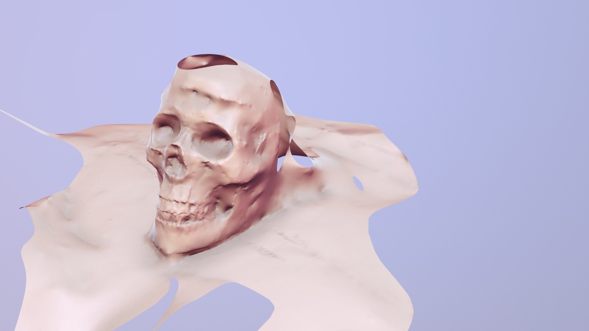 Skull