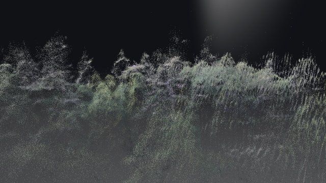 Forest point cloud - sample