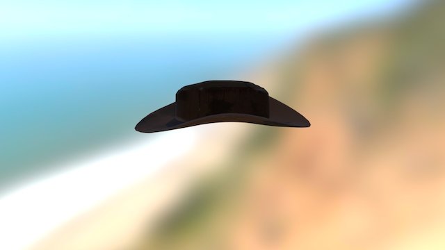 Wild West Hat 3D Model
