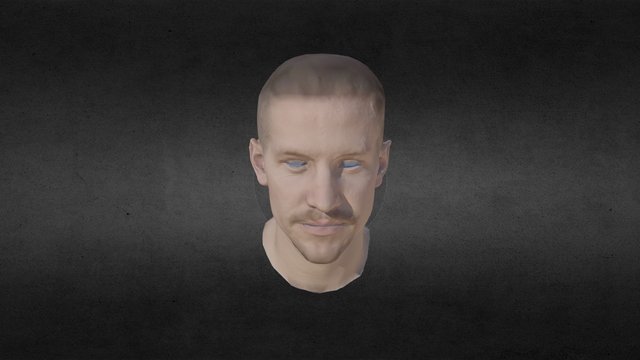 Head From Z Div1 3D Model