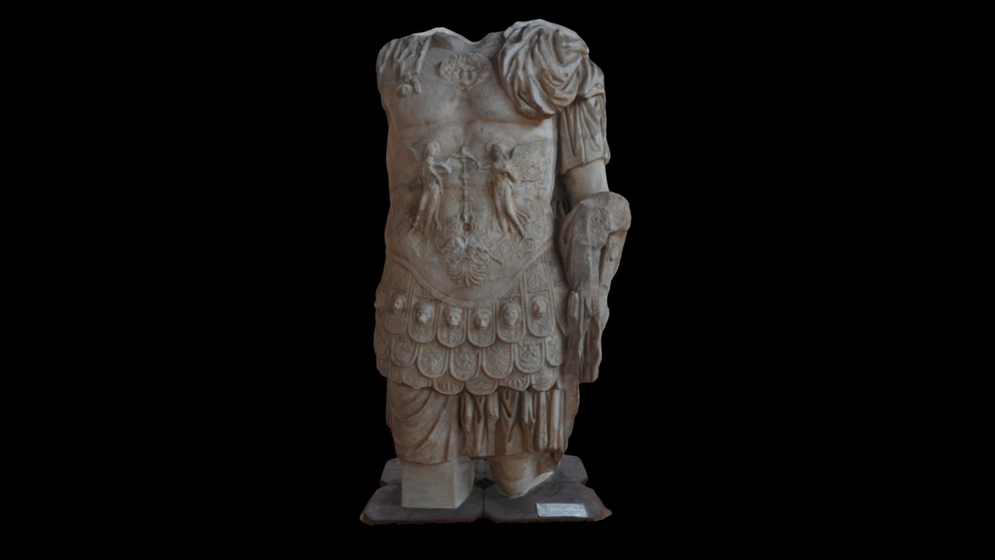 Cuirassed Torso