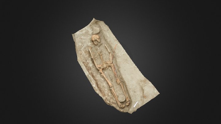 Inhumation médiévale 3D Model