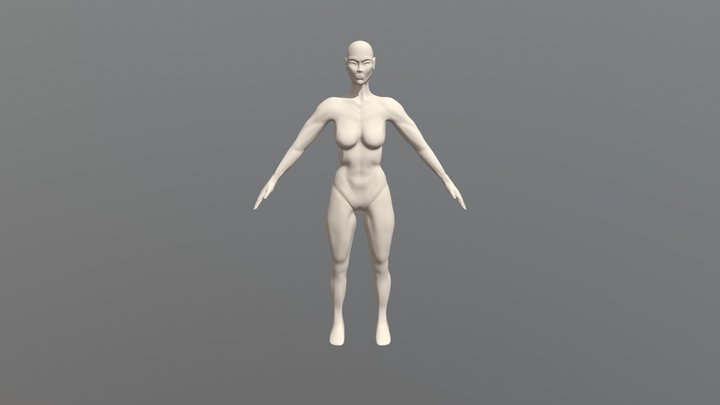 Anatomy Sculpt 3D Model