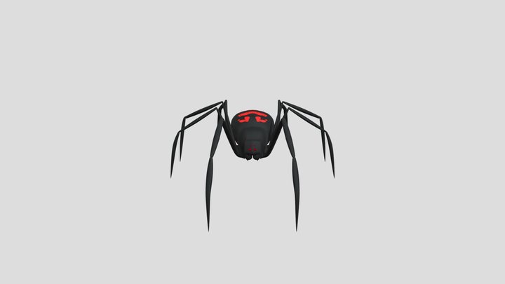Spider 3D Model