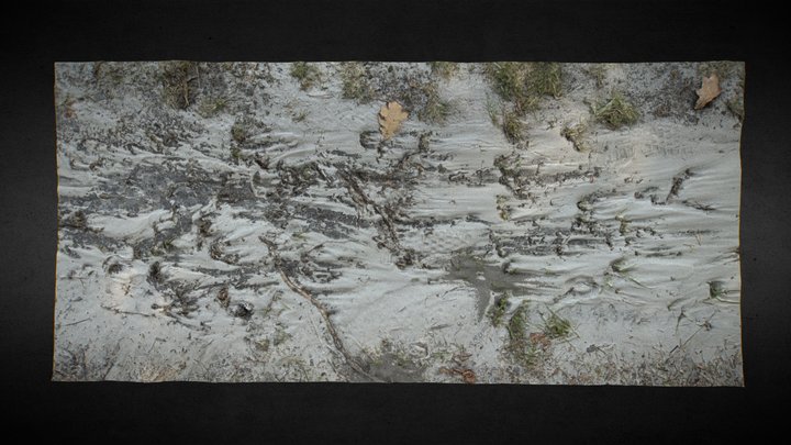 Nature-props 3D models - Sketchfab