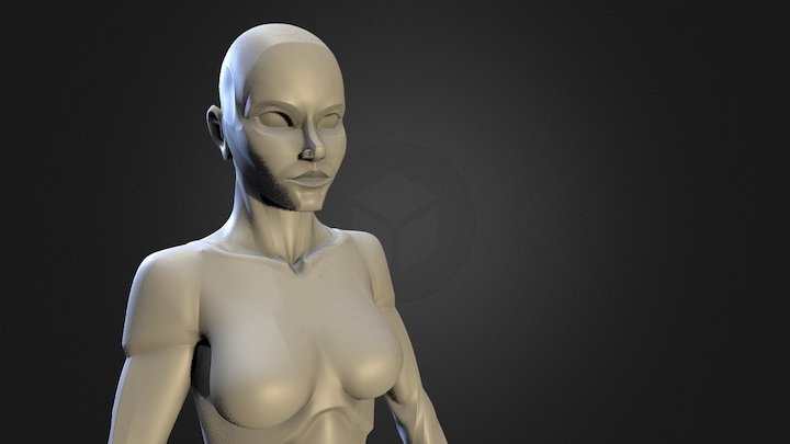 Female planar reference model 3D Model