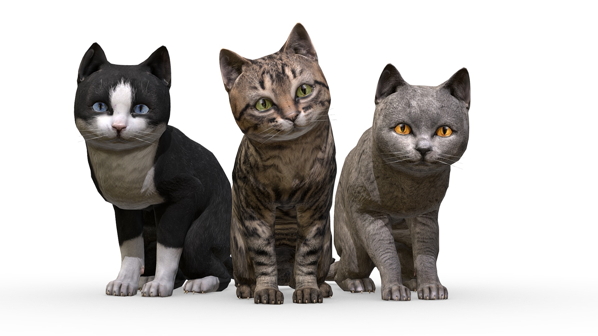 3D model Kitten pack - This is a 3D model of the Kitten pack. The 3D model is about a group of cats.