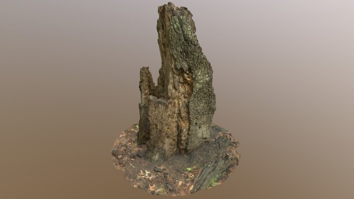 Rotted Stump 3D Model