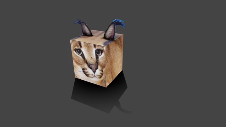 Cute Floppa Cube Cat Head - Roblox