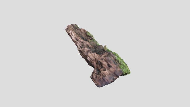 Wood with moss 3D Model