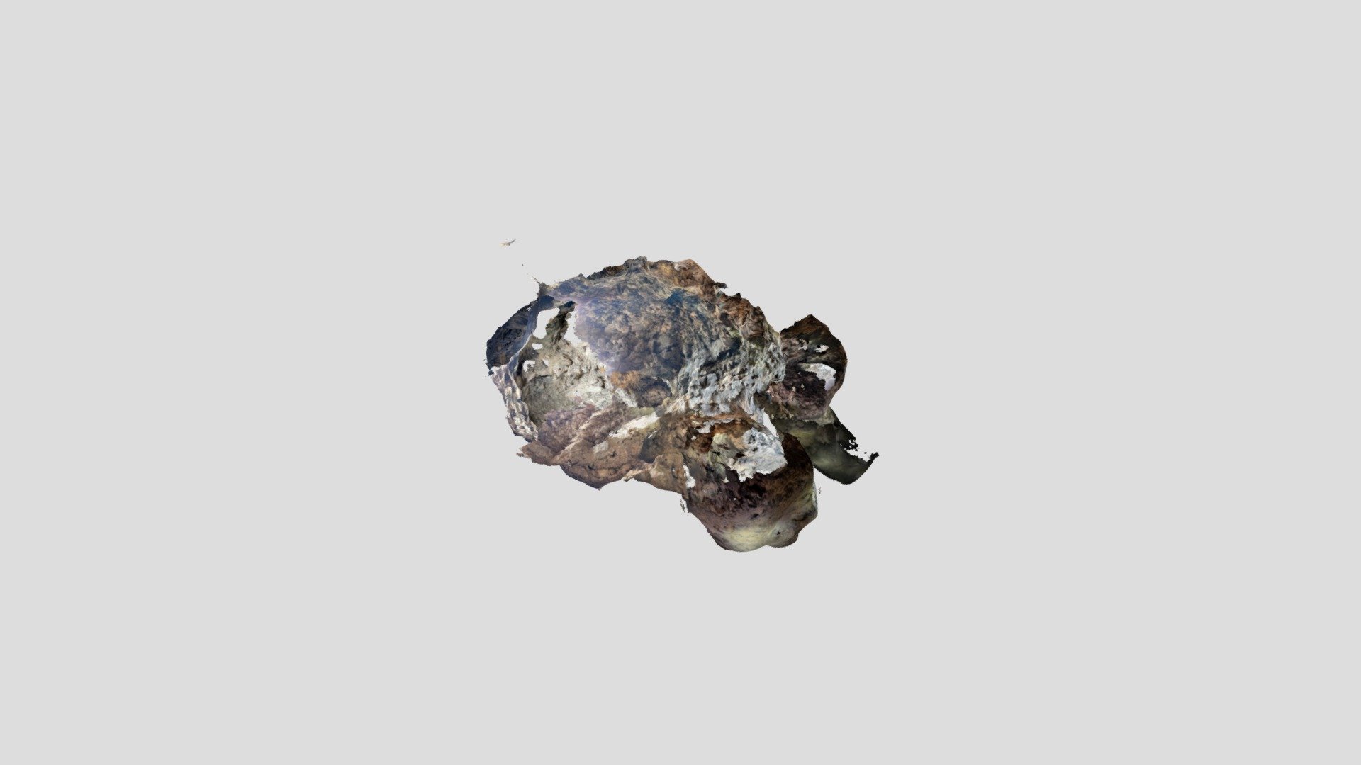 Untitled Scan