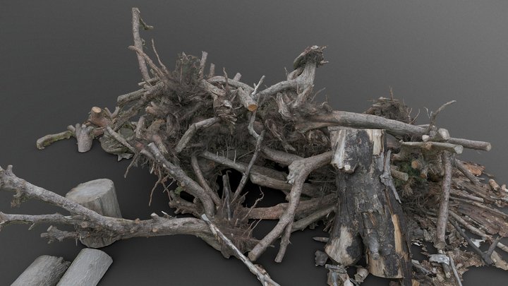 Heap pile of cut tree wood branches stumps 3D Model