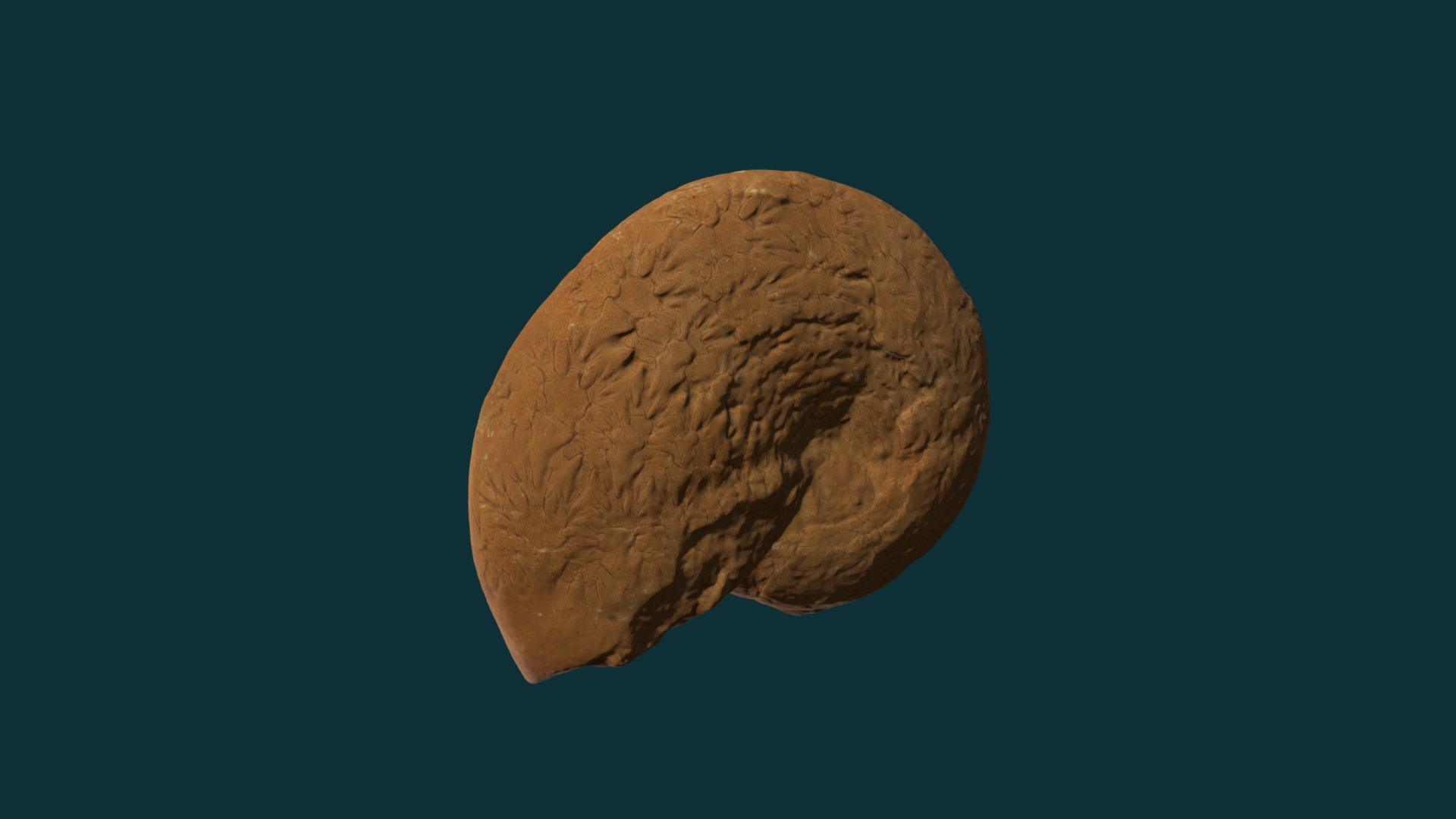 3D model Phylloceras nilsoni - This is a 3D model of the Phylloceras nilsoni. The 3D model is about a close up of a moon.