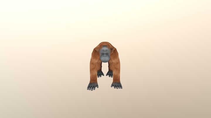Orangutan 3D Model