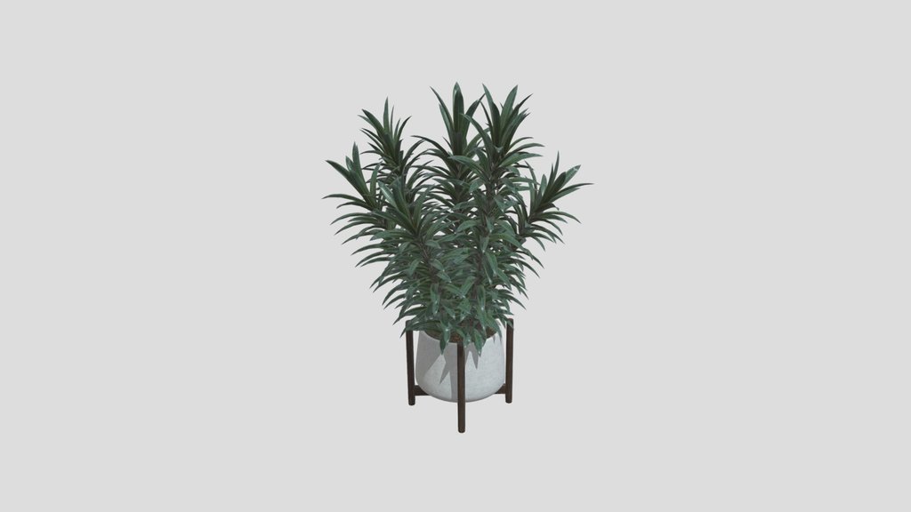 Modern Dracaena Corner Planter
