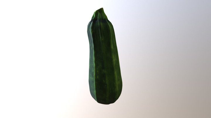 Zucchini- class exercise 3D Model