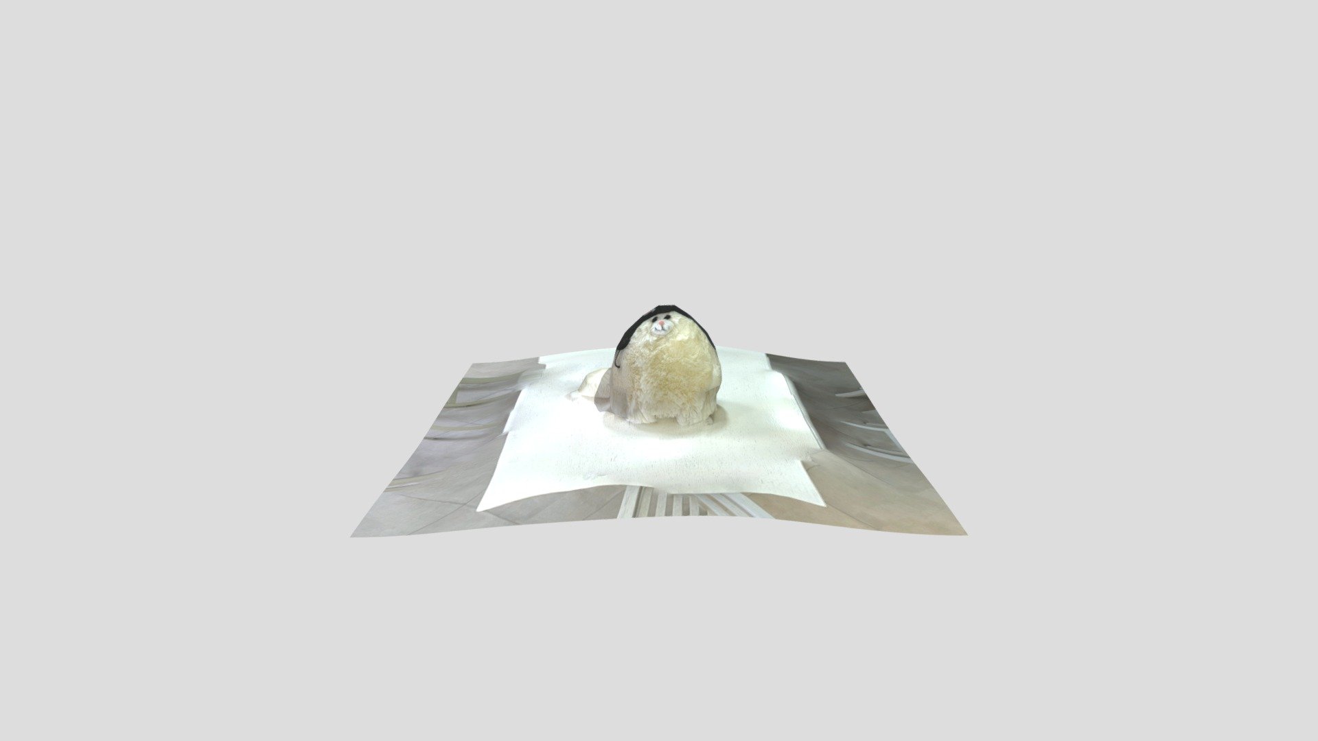 Cat LiDAR Scan