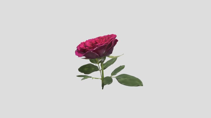 rose 3D Model