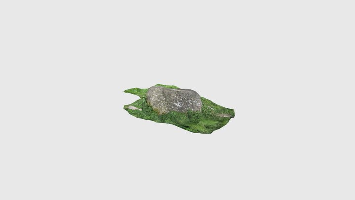 Bullaun stone 3D Model