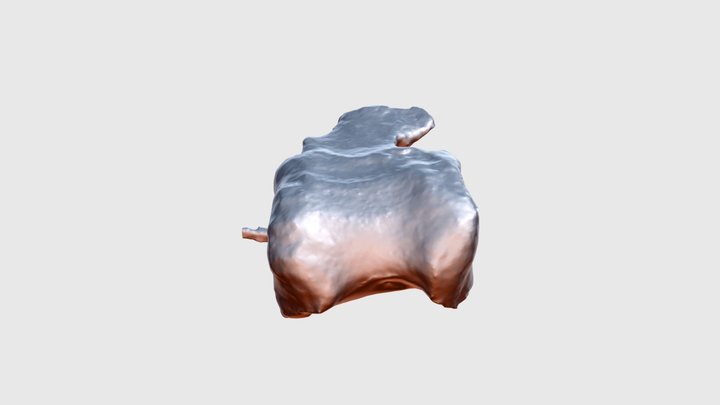 Rhab1 3D Model