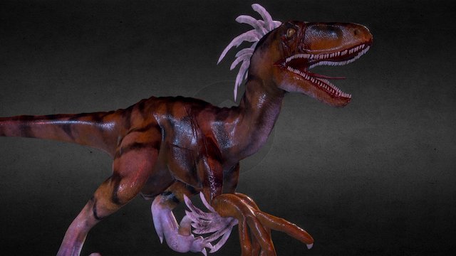 PSW - Raptor 3D Model