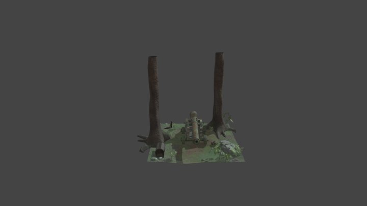 Cannon Environment 3D Model