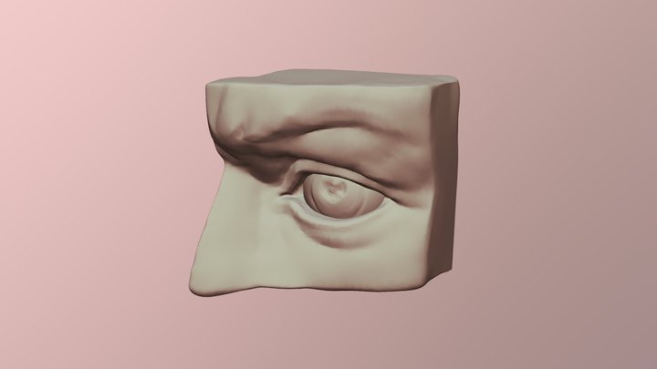 Eye 3D Model