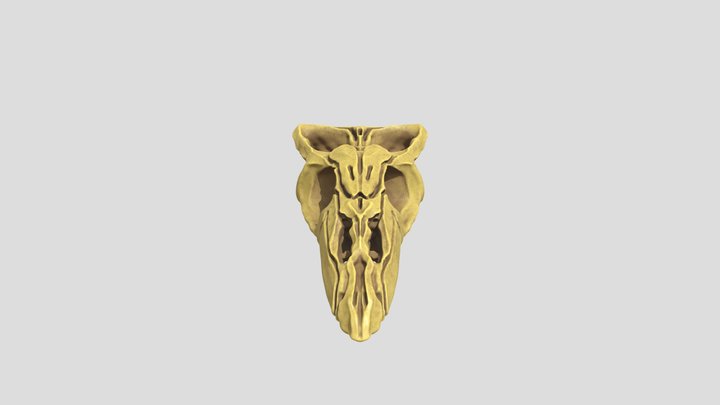 mesh 3D Model