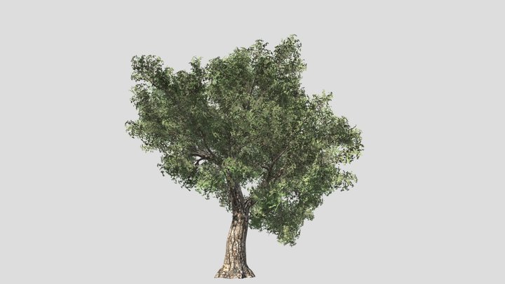 Tree (part2) – Modello 3D gratuito STL