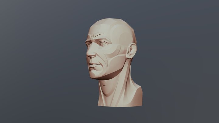 Male Head Planar 3D Model