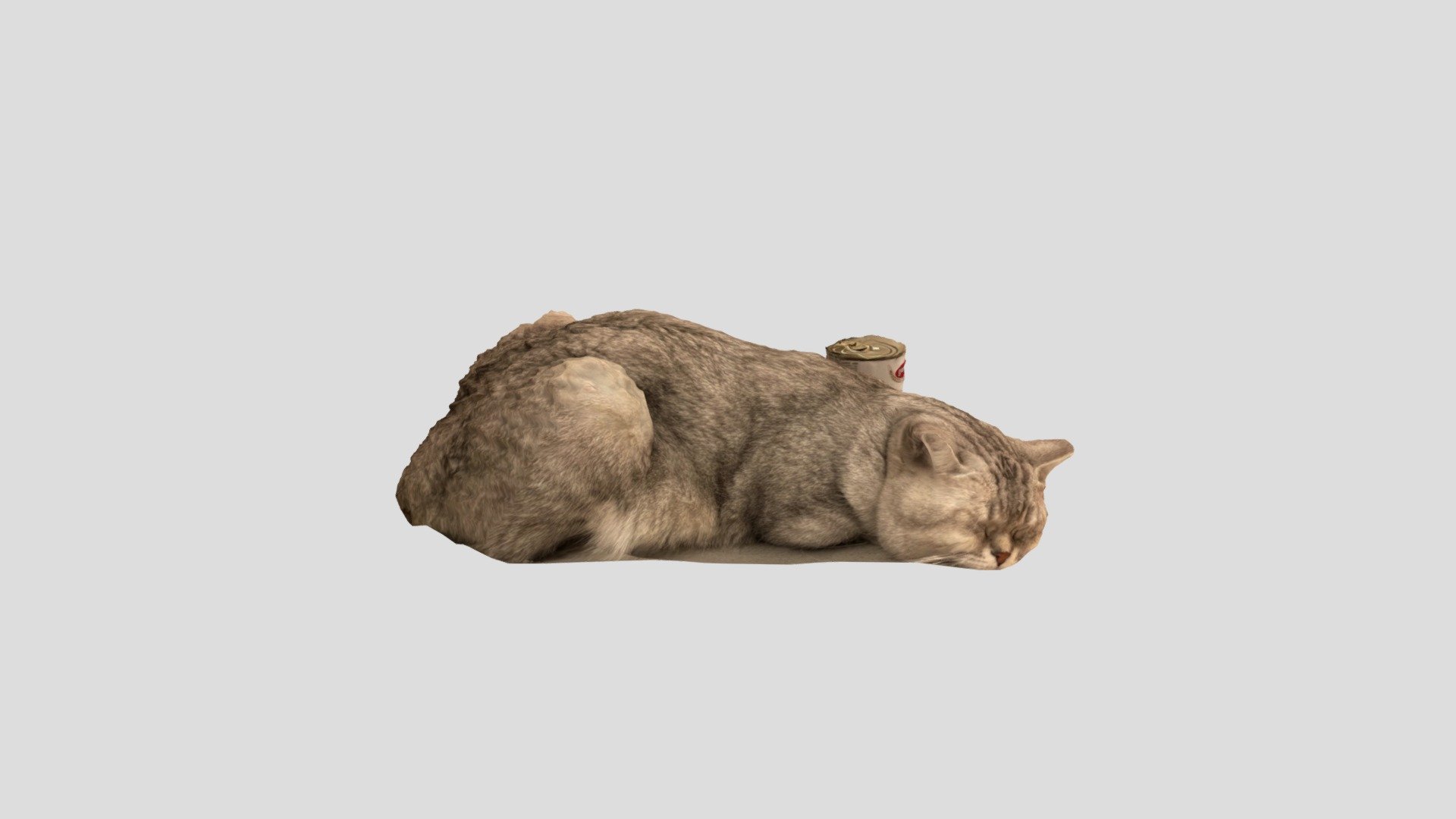 Sleepy Croqueta