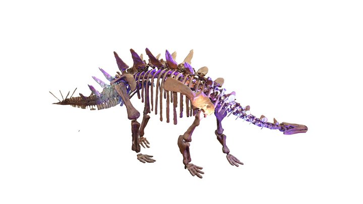 ไดโนเสาร์3 3D Model