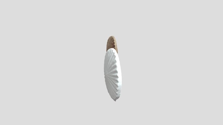 Coin 3D Model