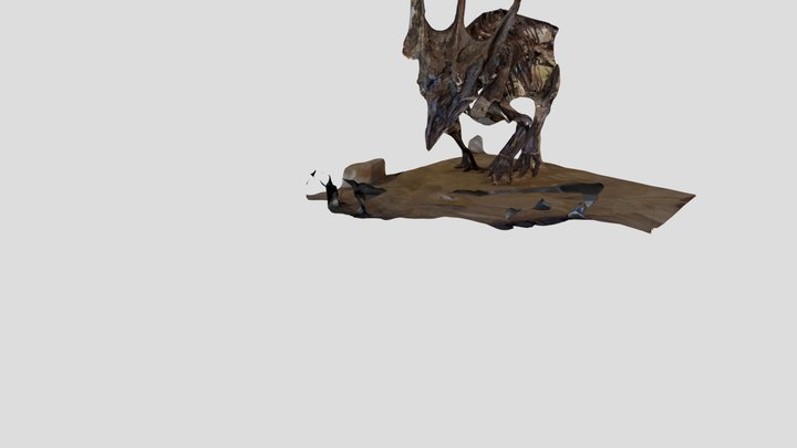 Partial Dinosaur Skeleton 3D Model