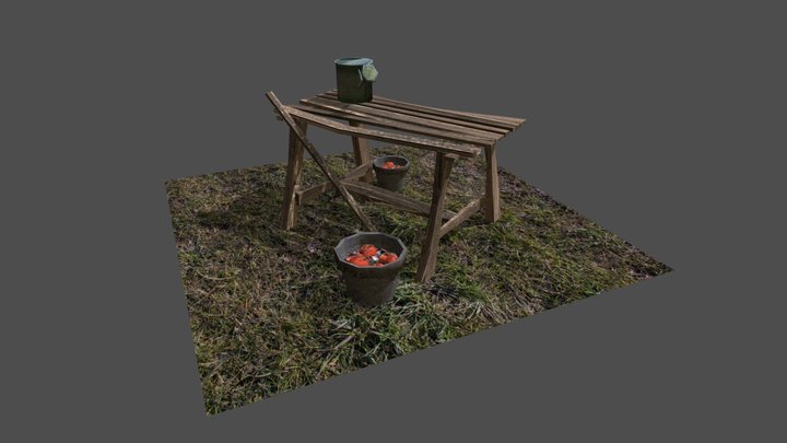 Forest Loner - 3 Simple props 3D Model