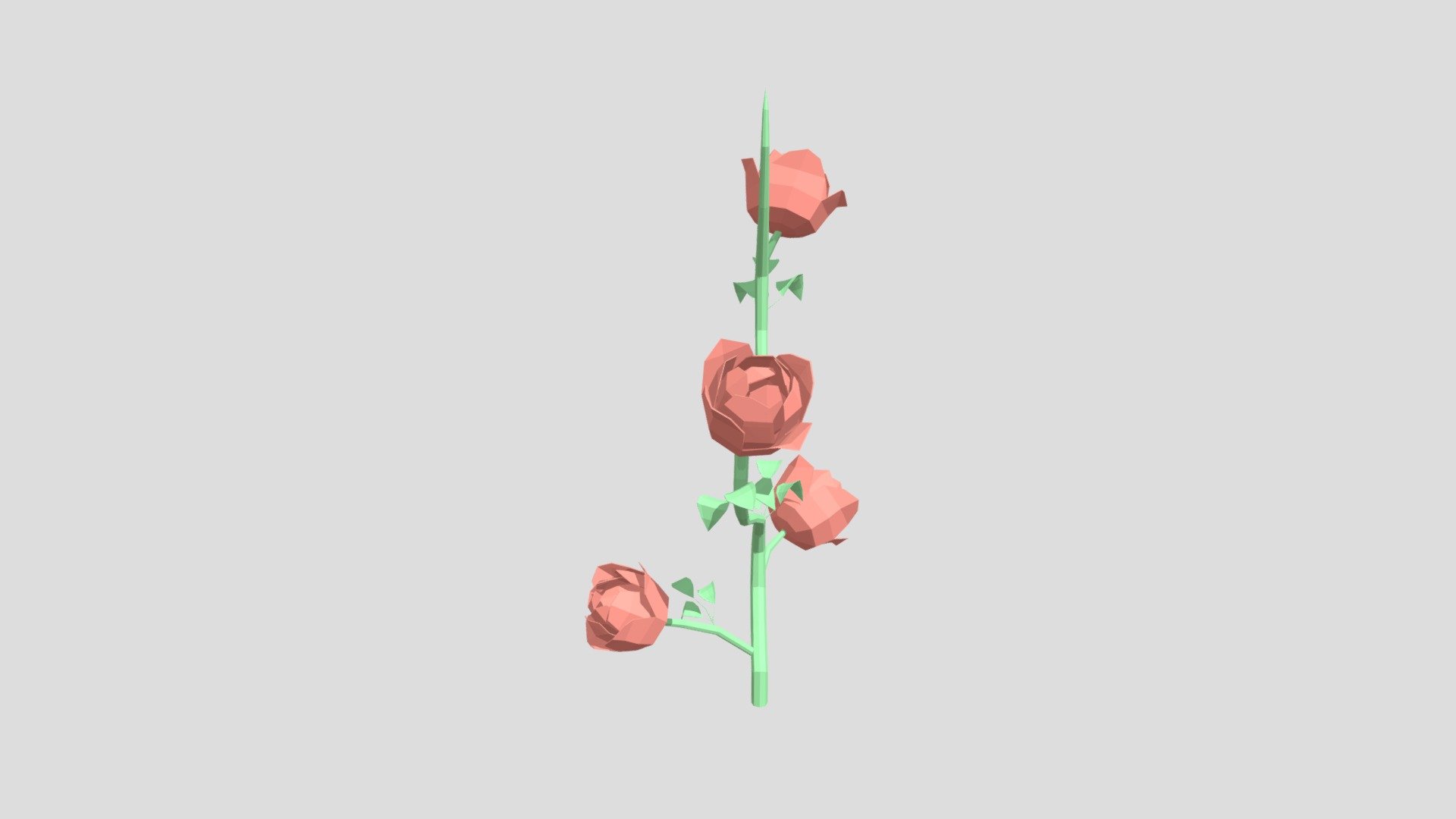 Rose bush from Poly by Google