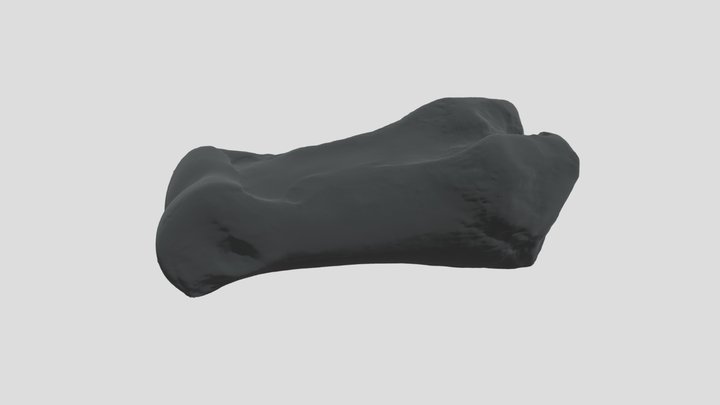 JS55 3D Model