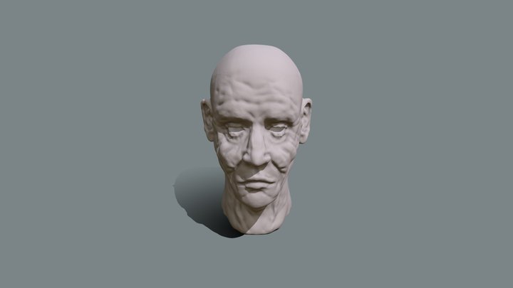 Wrinkles Practice 3D Model