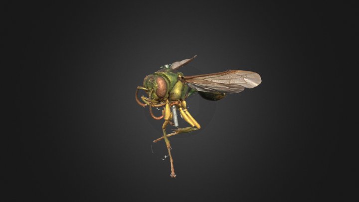 0574159 3D Model