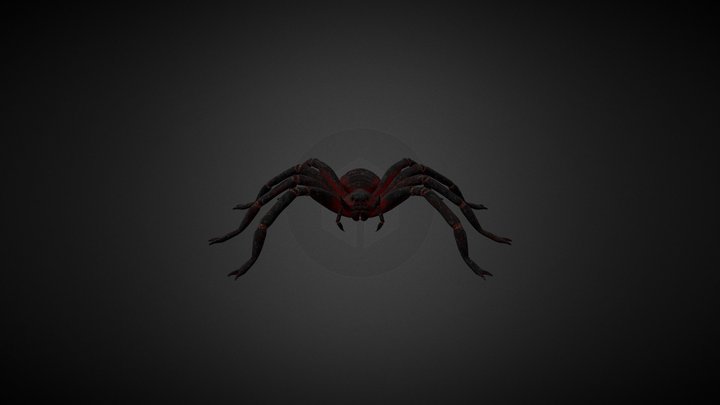 Spider 3D Model