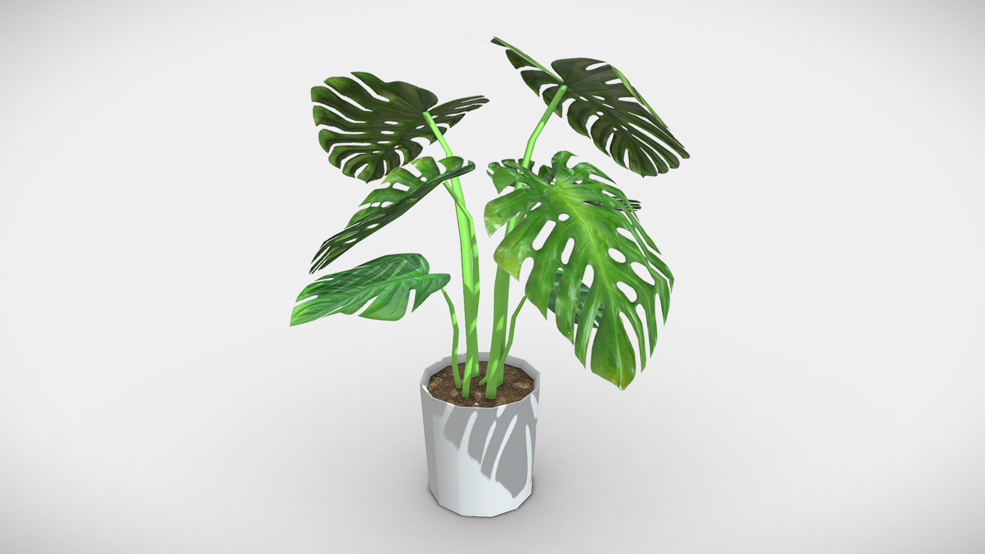 3D model Monstera deliciosa low poly - This is a 3D model of the Monstera deliciosa low poly. The 3D model is about a plant in a pot.