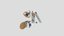 Loading 3D Model