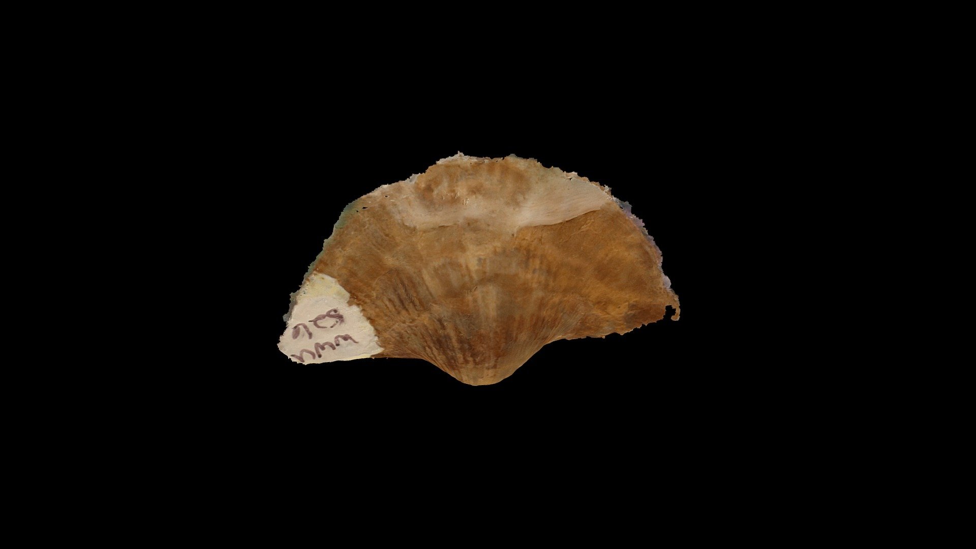 Geol212_526