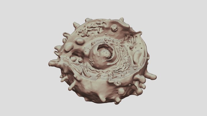 Celula 3D models - Sketchfab