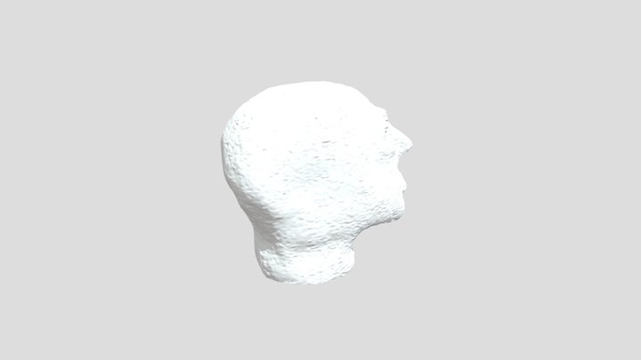 Group A2 ceramic face 3D Model
